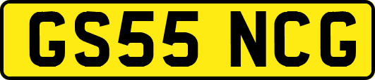 GS55NCG