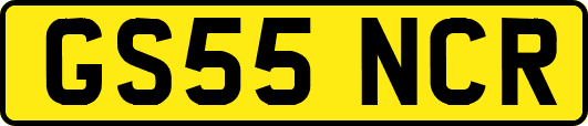 GS55NCR