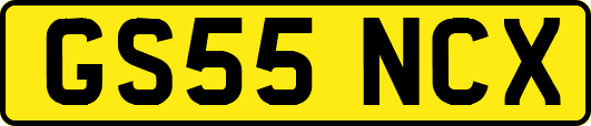 GS55NCX