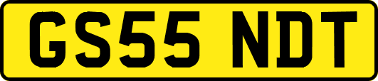 GS55NDT