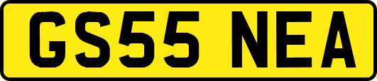 GS55NEA