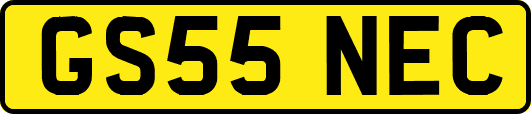GS55NEC