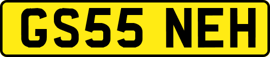 GS55NEH