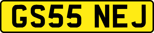 GS55NEJ