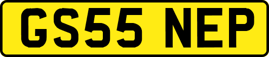 GS55NEP