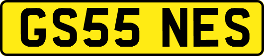 GS55NES