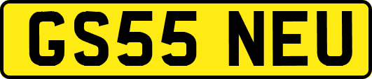 GS55NEU