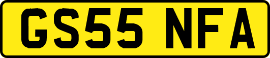 GS55NFA