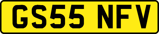 GS55NFV