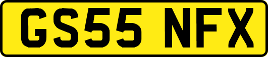 GS55NFX