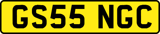 GS55NGC