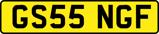 GS55NGF