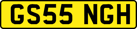 GS55NGH