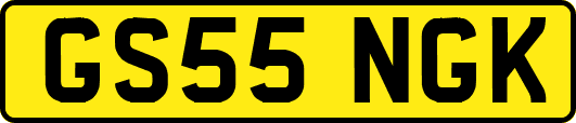 GS55NGK