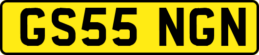 GS55NGN