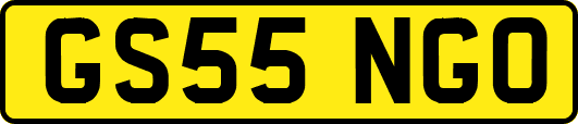 GS55NGO