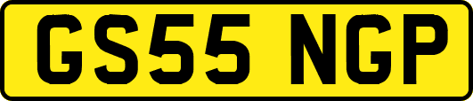 GS55NGP