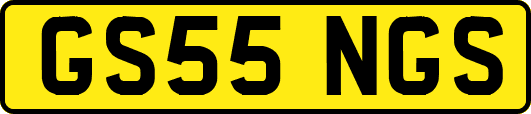 GS55NGS