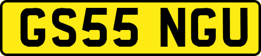 GS55NGU
