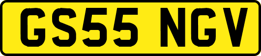GS55NGV