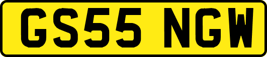 GS55NGW