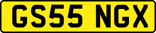 GS55NGX