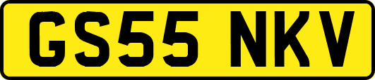 GS55NKV