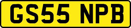GS55NPB