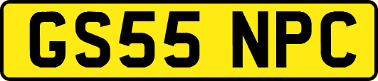 GS55NPC