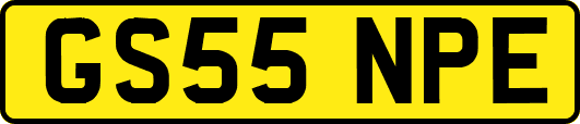 GS55NPE