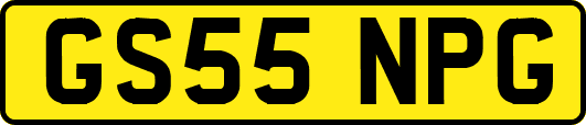 GS55NPG
