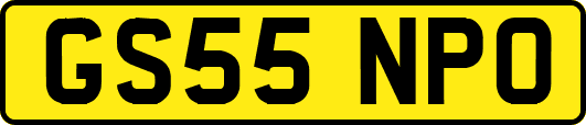 GS55NPO