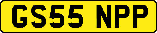 GS55NPP