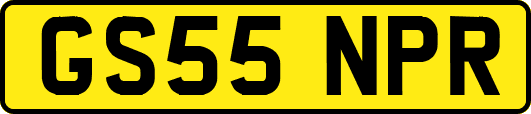 GS55NPR