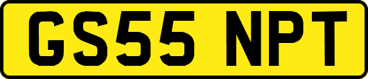 GS55NPT