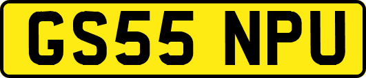 GS55NPU
