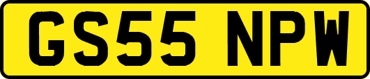 GS55NPW