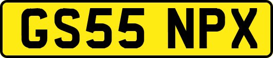 GS55NPX