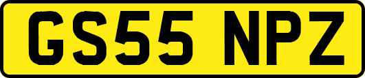 GS55NPZ