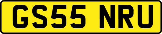 GS55NRU
