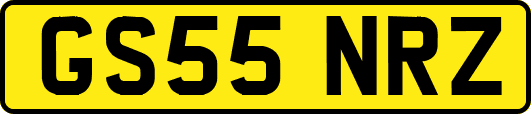 GS55NRZ