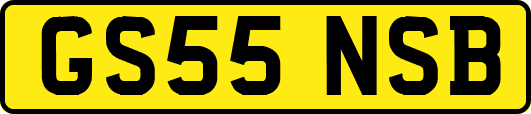 GS55NSB