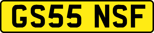 GS55NSF