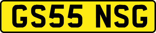 GS55NSG