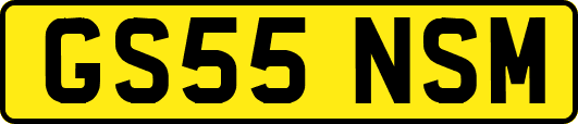 GS55NSM