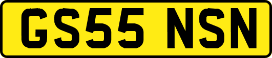 GS55NSN