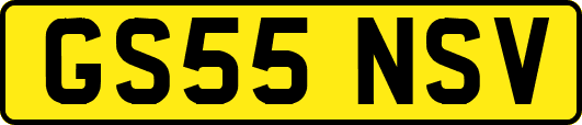 GS55NSV
