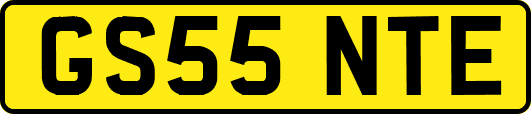 GS55NTE