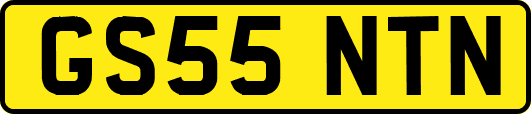 GS55NTN