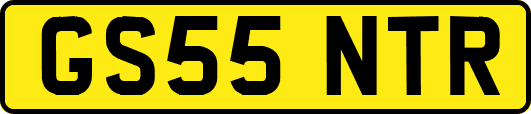 GS55NTR